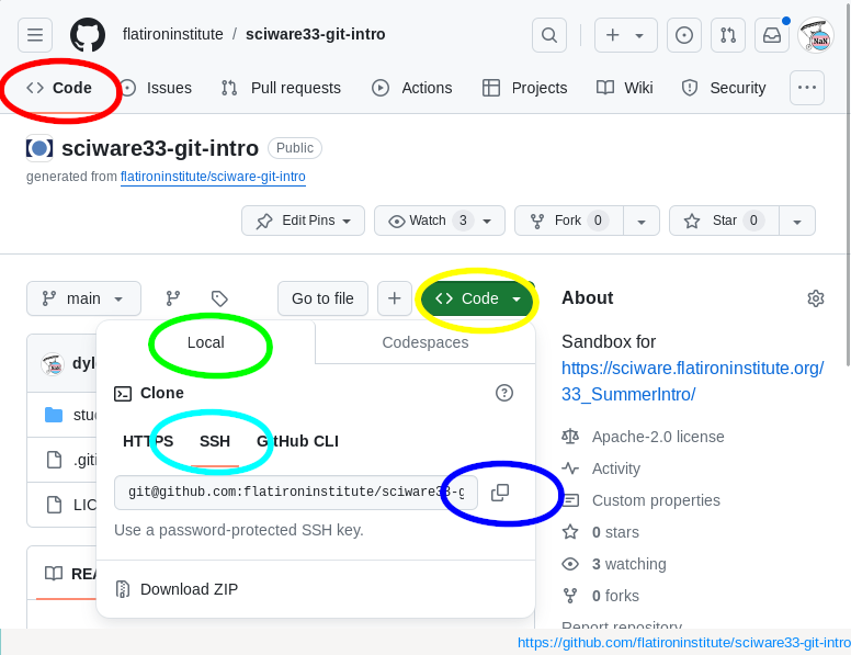 Clone button screenshot
